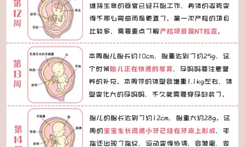 脂肪肝什么食物能吃网—知名的脂肪肝什么不能吃的食物网站,分享脂肪肝什么不可以吃知识
